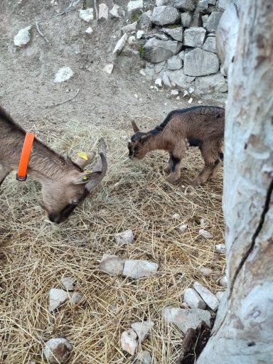 Sidonie & son bébé